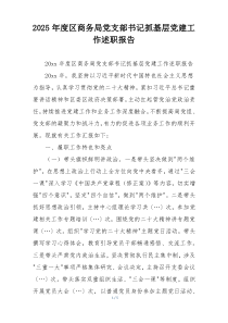 2025年度区商务局党支部书记抓基层党建工作述职报告