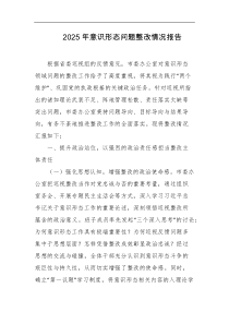 2025年意识形态问题整改情况报告
