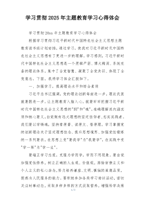 学习贯彻2025年主题教育学习心得体会