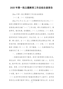 2025年第一批主题教育工作总结自查报告