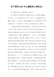 学习贯彻2025年主题教育心得体会1