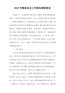 2025年粮食安全工作情况调研报告