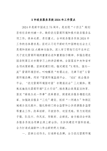 X市政务服务系统2024年工作要点