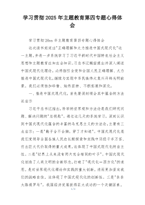 学习贯彻2025年主题教育第四专题心得体会