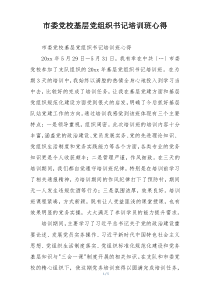 市委党校基层党组织书记培训班心得