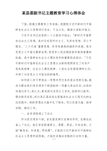 某县委副书记主题教育学习心得体会
