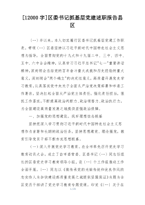 [12000字]区委书记抓基层党建述职报告县区