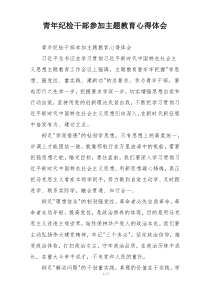 青年纪检干部参加主题教育心得体会