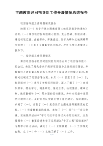 主题教育巡回指导组工作开展情况总结报告