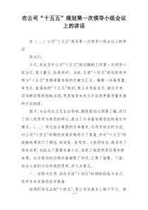 在公司“十五五”规划第一次领导小组会议上的讲话