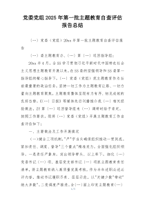 党委党组2025年第一批主题教育自查评估报告总结