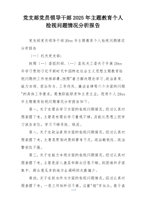 党支部党员领导干部2025年主题教育个人检视问题情况分析报告