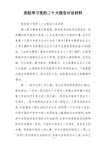 党组学习党的二十大报告讨论材料