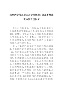 北京大学马克思主义学院教授坚定不移推进中国式现代化