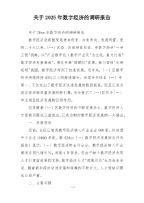 关于2025年数字经济的调研报告