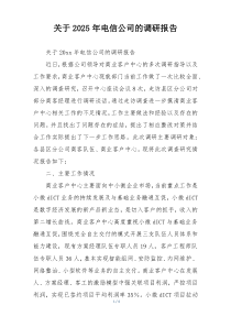 关于2025年电信公司的调研报告