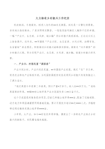 大力推进乡村振兴工作纪实