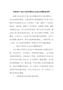 常委班子20XX年度专题民主生活会对照检查材料
