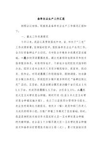 春季农业生产工作汇报
