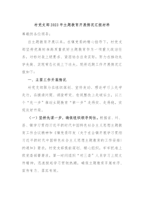 村党支部20XX年主题教育开展情况汇报材料