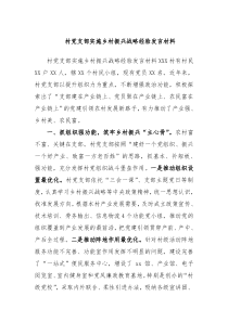 村党支部实施乡村振兴战略经验发言材料