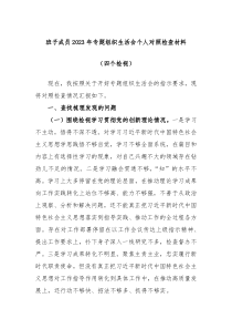 班子成员20XX年专题组织生活会个人对照检查材料四个检视