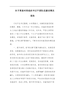 关于某县村党组织书记干部队伍建设情况报告