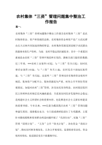 农村集体“三资”管理问题集中整治工作报告