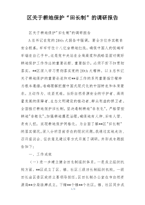区关于耕地保护“田长制”的调研报告