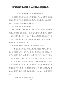 区妥善推进闲置土地处置的调研报告
