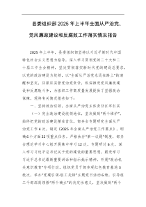 县委组织部2025年上半年全面从严治党党风廉政建设和反腐败工作落实情况报告