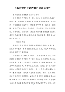县政府党组主题教育自查评估报告