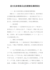 县文化体育娱乐业发展情况调研报告