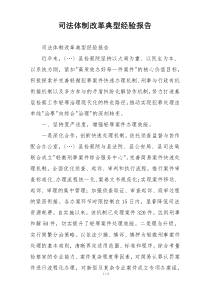 司法体制改革典型经验报告