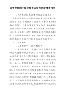 局党建基础工作大排查大规范自检自查报告