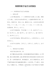局领导班子运行分析报告