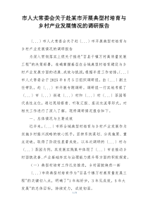 市人大常委会关于赴某市开展典型村培育与乡村产业发展情况的调研报告