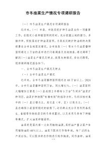 市冬油菜生产情况专项调研报告