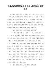 市委组织部基层党组织带头人队伍建设调研报告