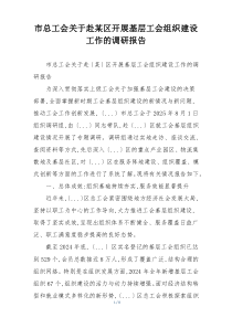 市总工会关于赴某区开展基层工会组织建设工作的调研报告