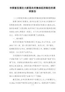 市探索发展壮大新型农村集体经济路径的调研报告