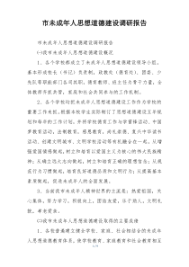 市未成年人思想道德建设调研报告