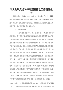 市民政局党组2024年巡察整改工作情况报告（12月25）