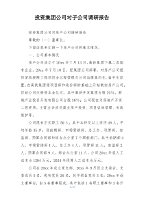 投资集团公司对子公司调研报告