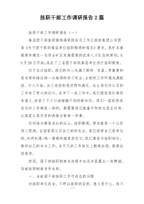 挂职干部工作调研报告2篇