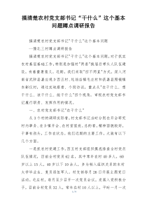 搞清楚农村党支部书记“干什么”这个基本问题蹲点调研报告