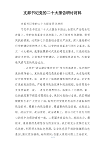支部书记党的二十大报告研讨材料
