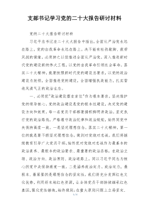 支部书记学习党的二十大报告研讨材料