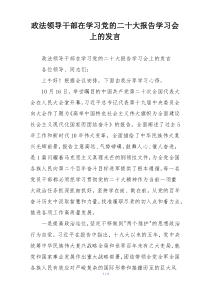 政法领导干部在学习党的二十大报告学习会上的发言
