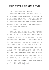 某国企优秀年轻干部队伍建设调研报告